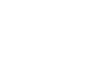 Securitas logo@2x