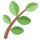 Picto de feuille